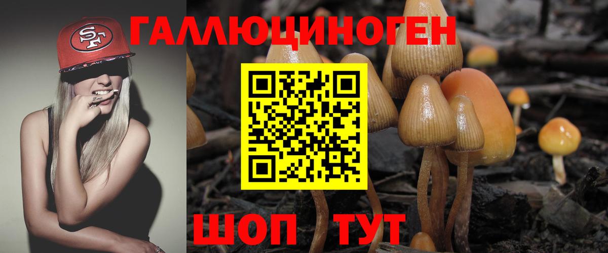 Псилоцибиновые грибы GOLDEN TEACHER Железноводск
